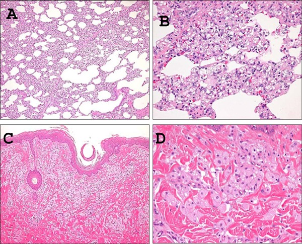 Fig. 7.