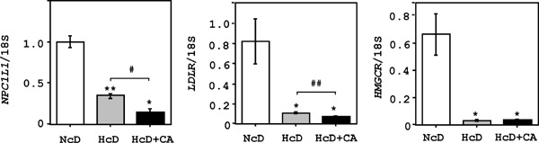 Supplemental Fig. 2.