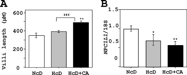 Supplemental Fig. 3.