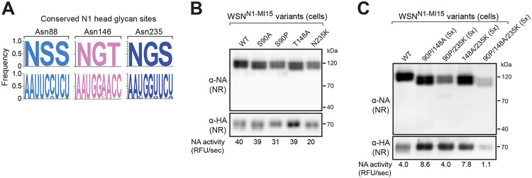 FIG 3