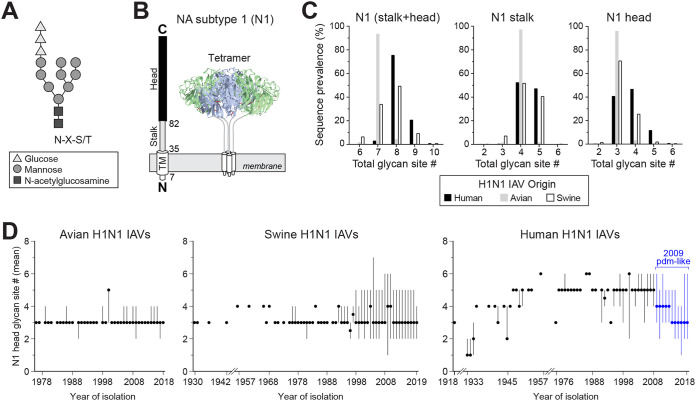 FIG 1