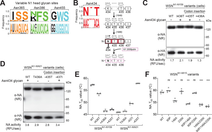 FIG 6