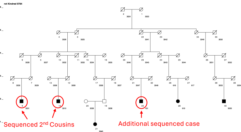 Figure 2