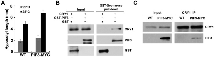 Fig. S6.