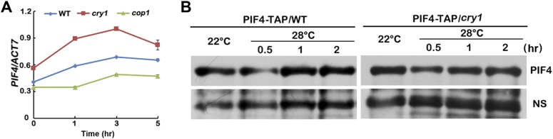 Fig. S4.