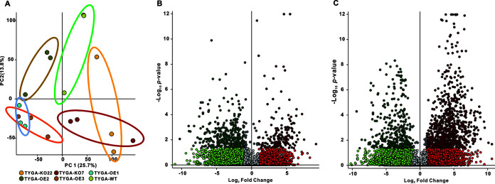 FIG 10