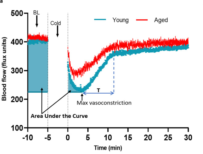 Figure 1—figure supplement 1.