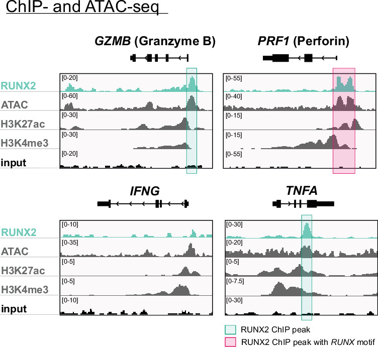 Figure 5—figure supplement 1.