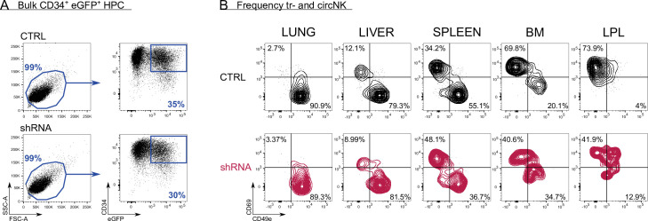 Figure 6—figure supplement 1.