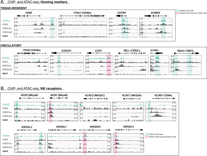 Figure 4—figure supplement 1.