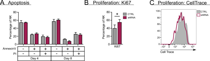 Figure 2—figure supplement 1.