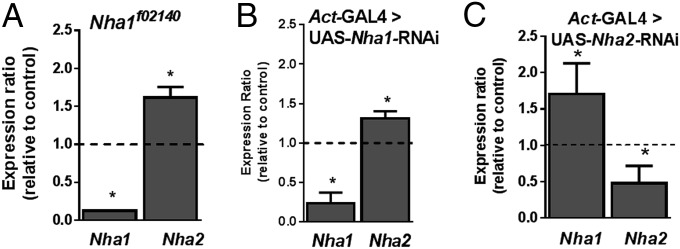 Fig. 1.