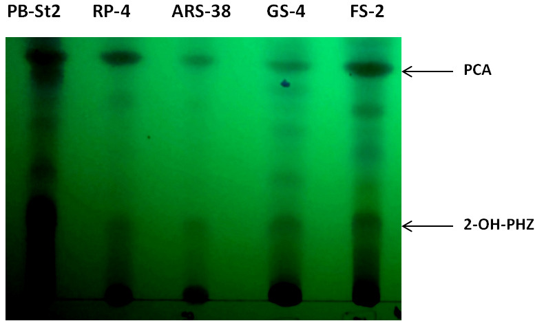 Figure 4.