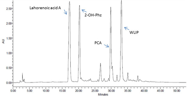 Figure 5.