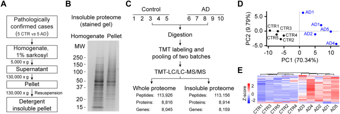 Fig. 3