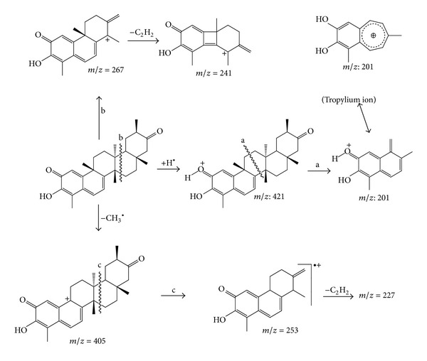 Figure 5