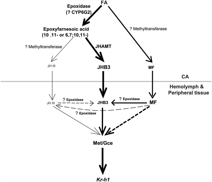 Fig 6