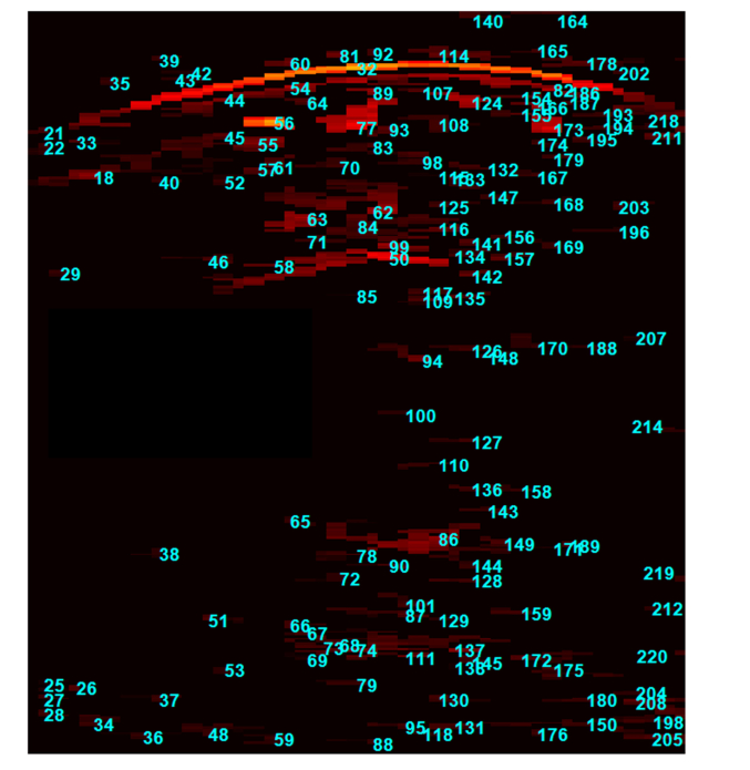 Fig. 16