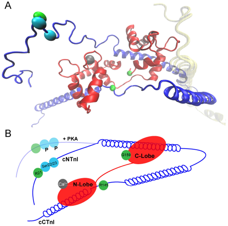 Figure 2: