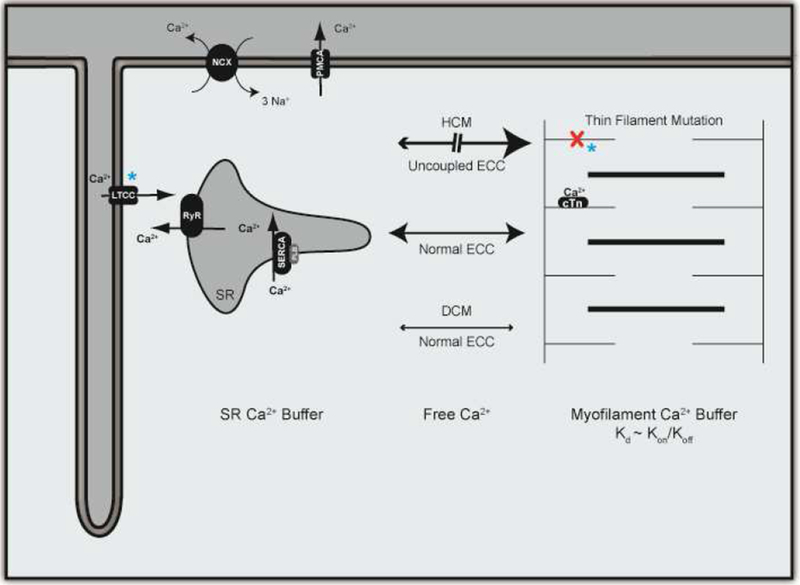 Figure 3: