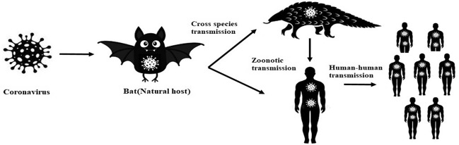 Fig.1