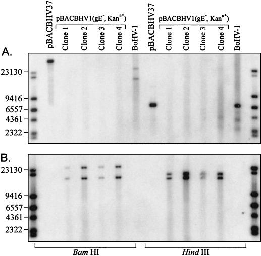 FIG. 5.