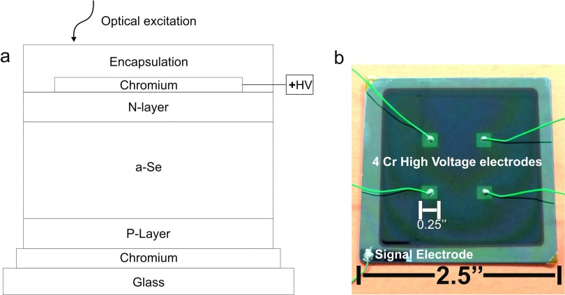 FIG. 2.