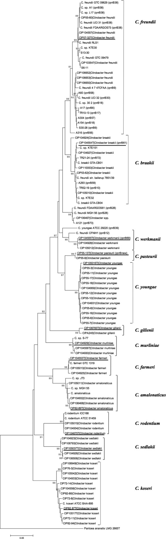 FIG 1