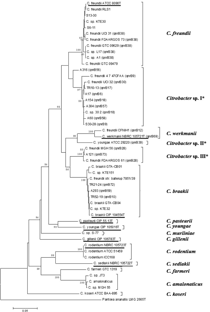 FIG 2