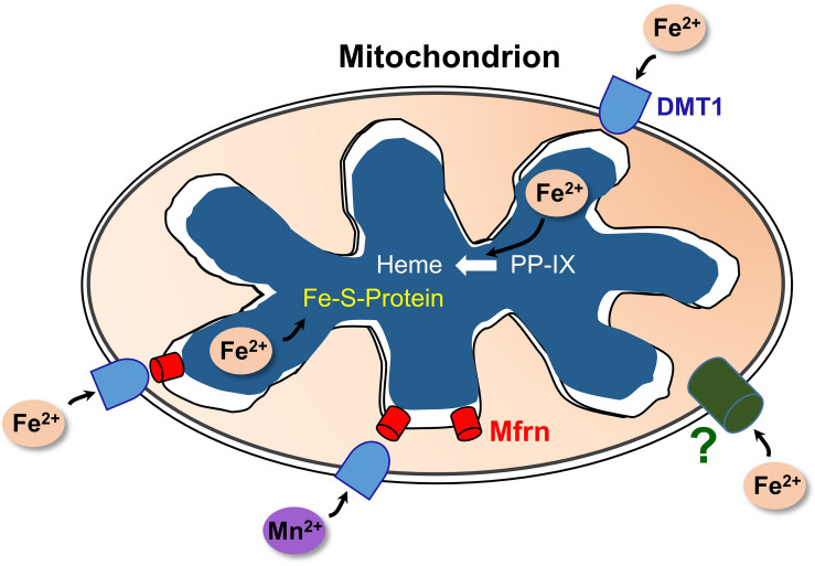 FIGURE 2