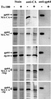 FIG. 7.