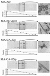 FIG. 8.