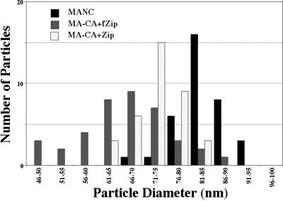 FIG. 3.