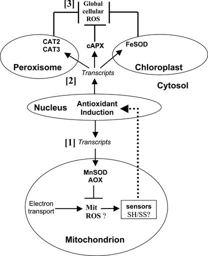 Figure 9.