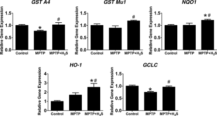 FIG. 9.