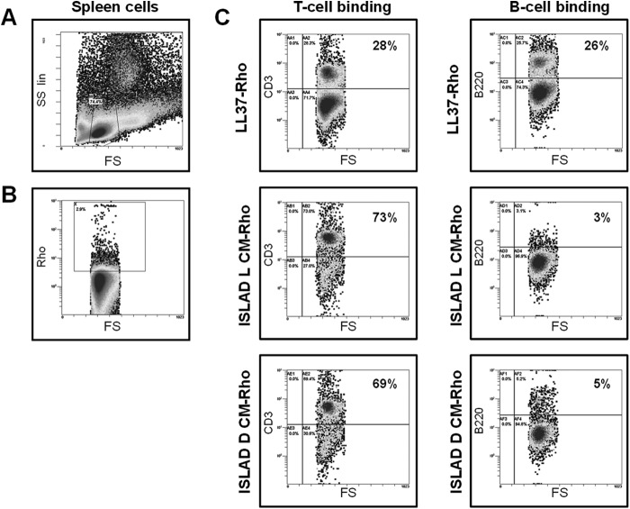 FIGURE 3.