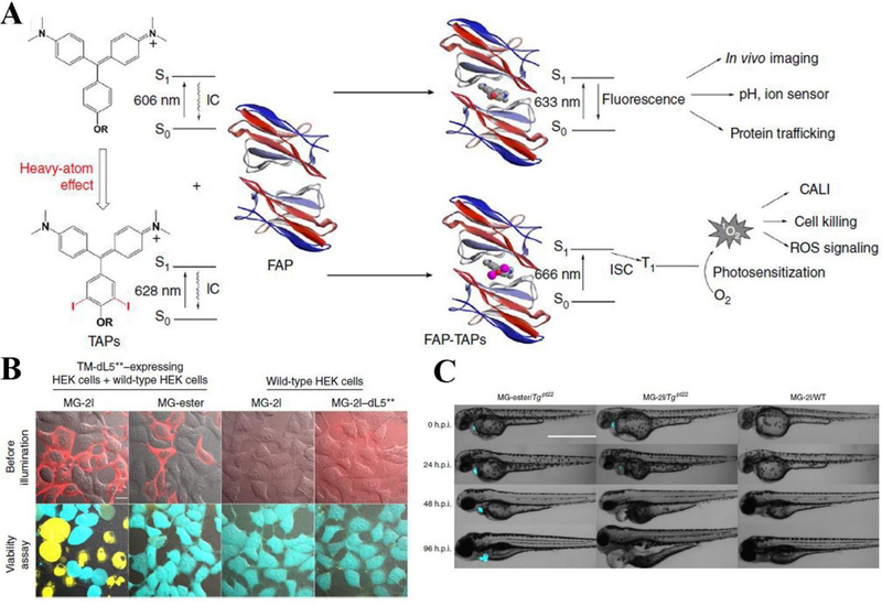 Figure 6.