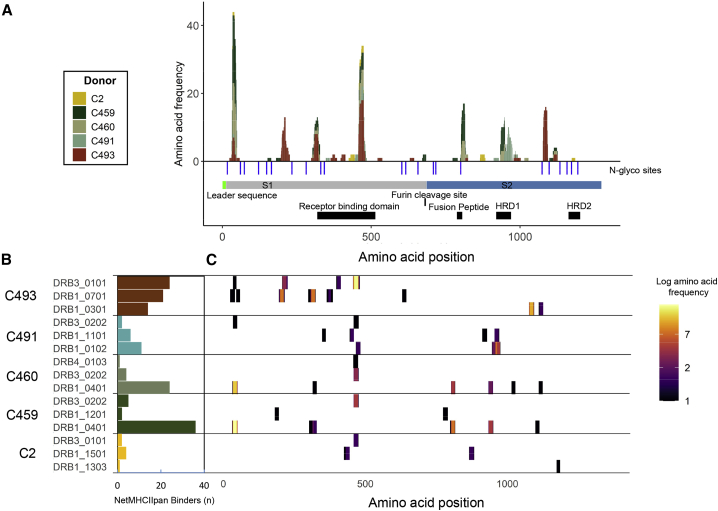 Figure 3