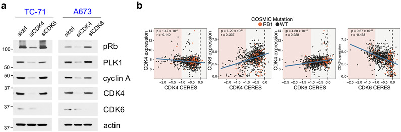 Extended Data Fig. 3