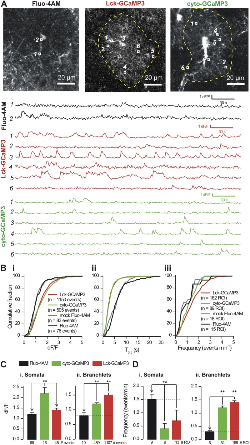 Figure 4.