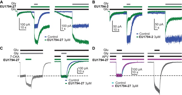 Figure 5—figure supplement 1.