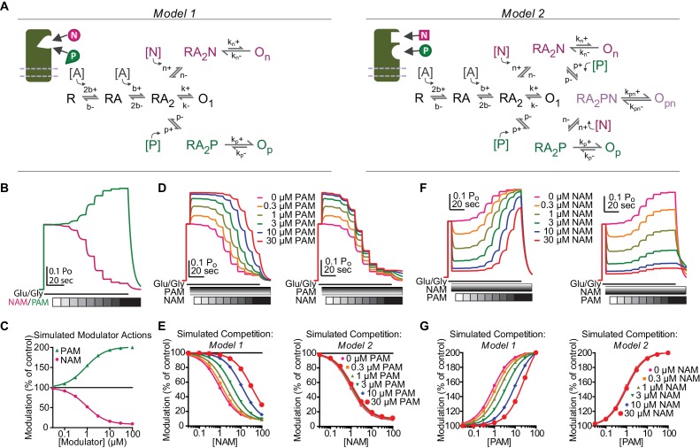 Figure 7—figure supplement 1.