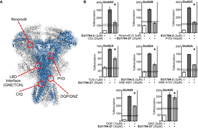 Figure 6—figure supplement 2.