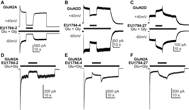 Figure 4—figure supplement 1.