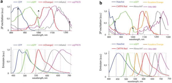 Fig. 3