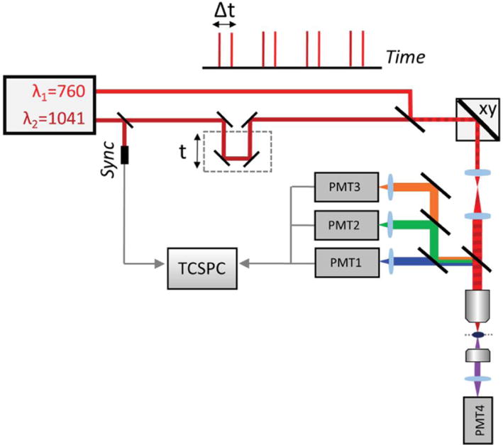 Fig. 2