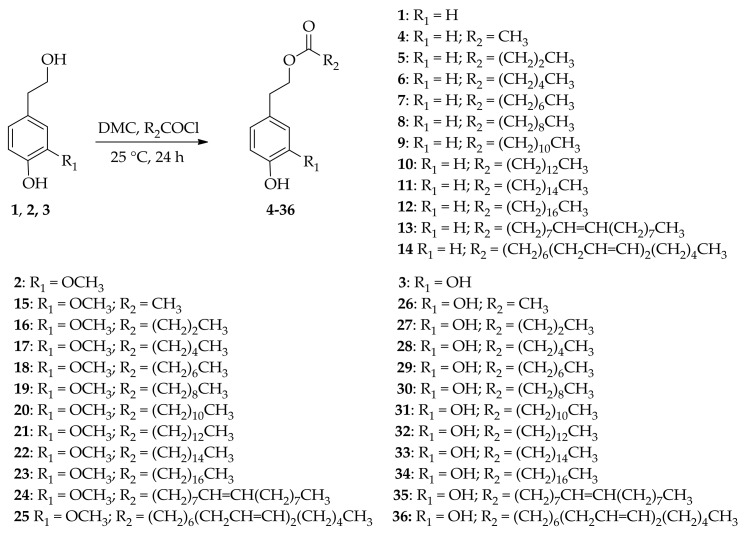 Scheme 1