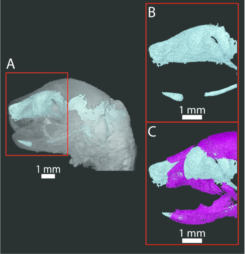 Figure 5.