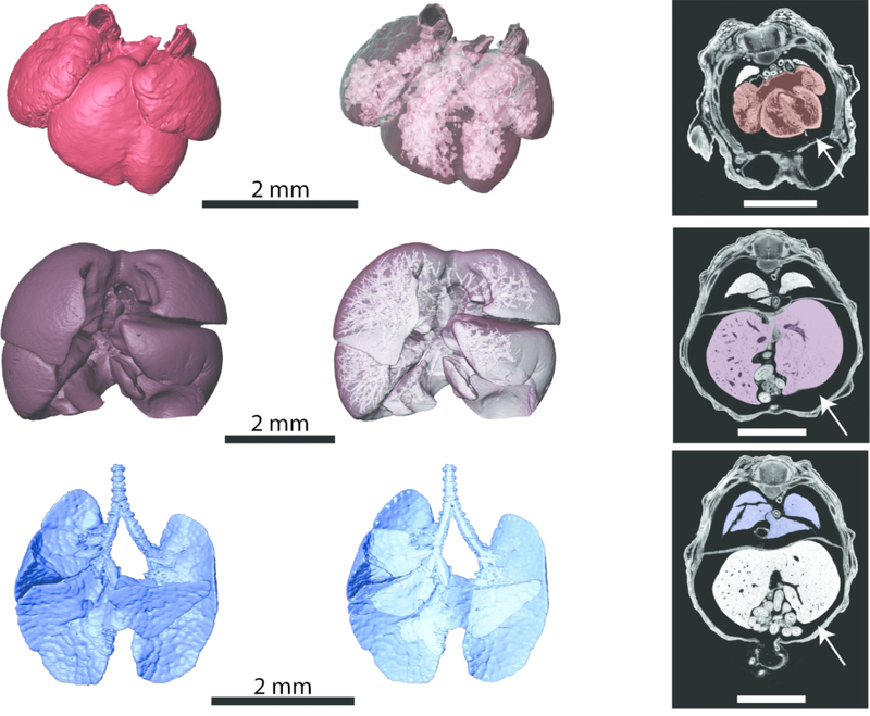 Figure 6.