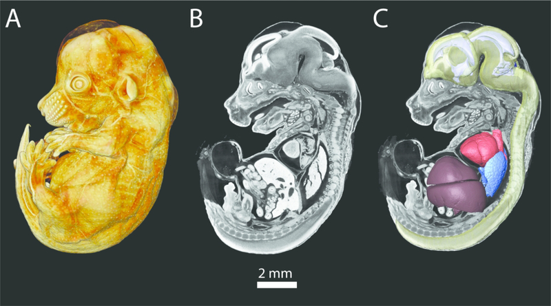 Figure 2.